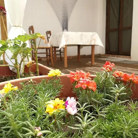 Casa Sartiglia Apartmán